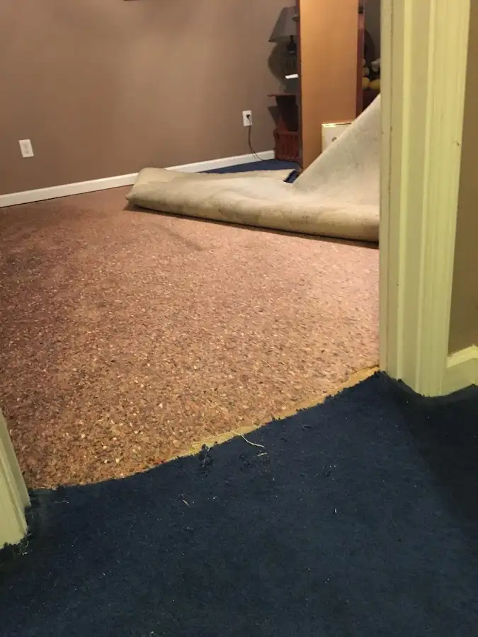 Carpet pad removal revealing water damage during Water Mitigation Services in Tewksbury